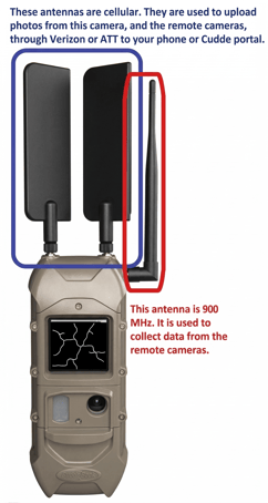 Gemini_Generated_Image_fm0r91fm0r91fm0r