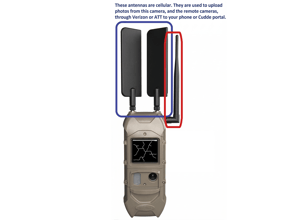 Antennas for Cuddeback Cuddelink Trail Cameras (Verizon, AT&T, etc.)
