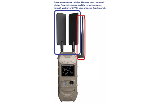 Antennas for Cuddeback Cuddelink Trail Cameras (Verizon, AT&T, etc.)